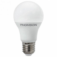 Лампа светодиодная Thomson A80 E27 24Вт 6500K TH-B2353
