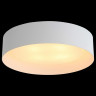 Накладной светильник ST-Luce Chio SL392.502.04