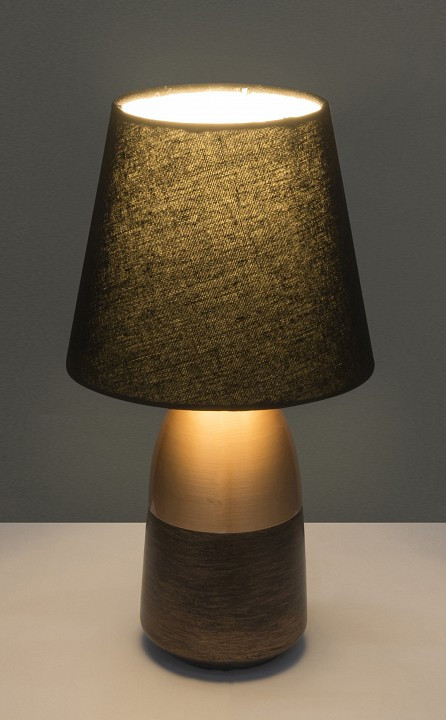 Настольная лампа декоративная Globo Eugen 24135K