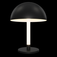 Настольная лампа декоративная Maytoni Ray Z012TL-L8B3K
