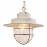 Подвесной светильник Arte Lamp 4579 A4579SP-1WG