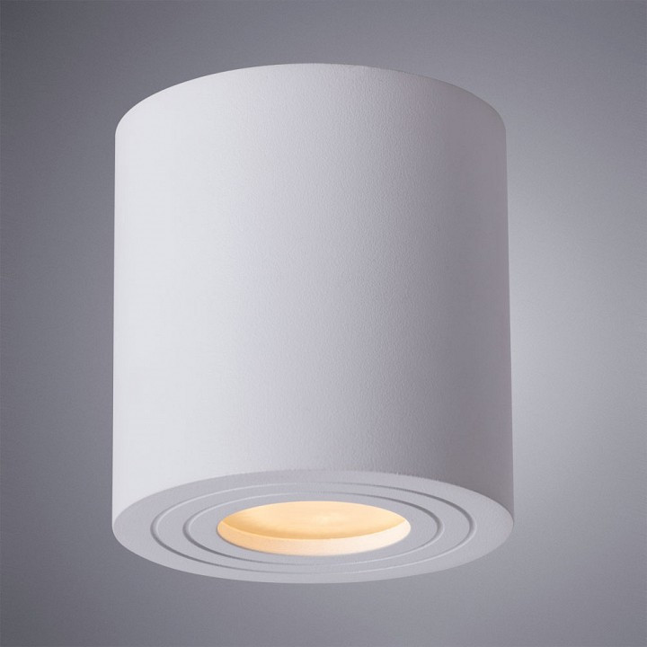 Накладной светильник Arte Lamp Galopin A1460PL-1WH