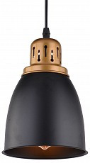 Подвесной светильник Arte Lamp Eurica A4248SP-1BK