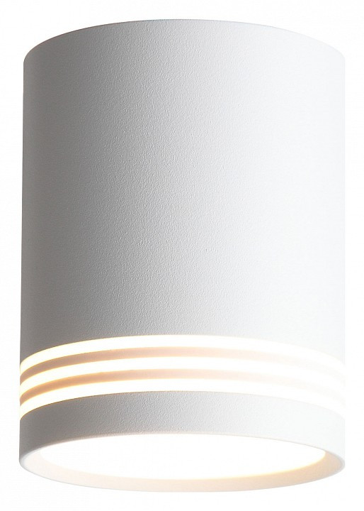 Накладной светильник ST-Luce Cerione ST101.502.12
