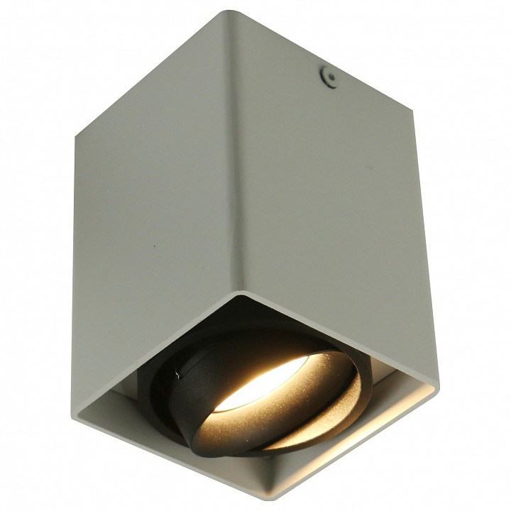 Накладной светильник Arte Lamp 5655 A5655PL-1WH