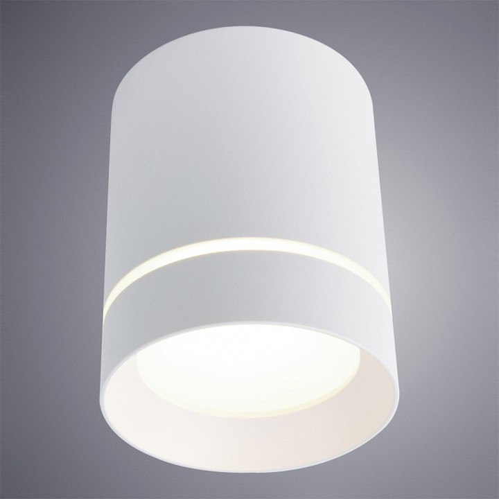 Накладной светильник Arte Lamp Elle A1949PL-1WH