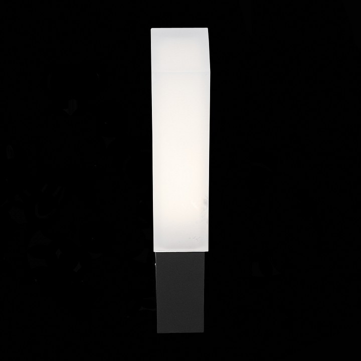 Накладной светильник ST-Luce Posto SL096.411.02