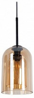 Подвесной светильник Arte Lamp Paio A7015SP-1BK