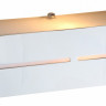 Накладной светильник Arte Lamp Cosmopolitan A7210AP-1CC