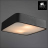 Накладной светильник Arte Lamp Cosmopolitan A7210PL-2BK