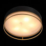 Накладной светильник ST-Luce Chodo SL1127.432.05
