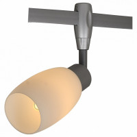 Светильник на штанге Arte Lamp 3059 A3059PL-1SI